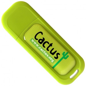 Clé USB classique vert citron